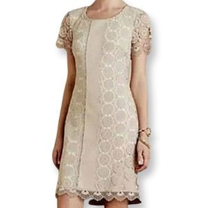 Bailey 44 dress crem mixed media lace & vegan leather Nude Worn once! EUC